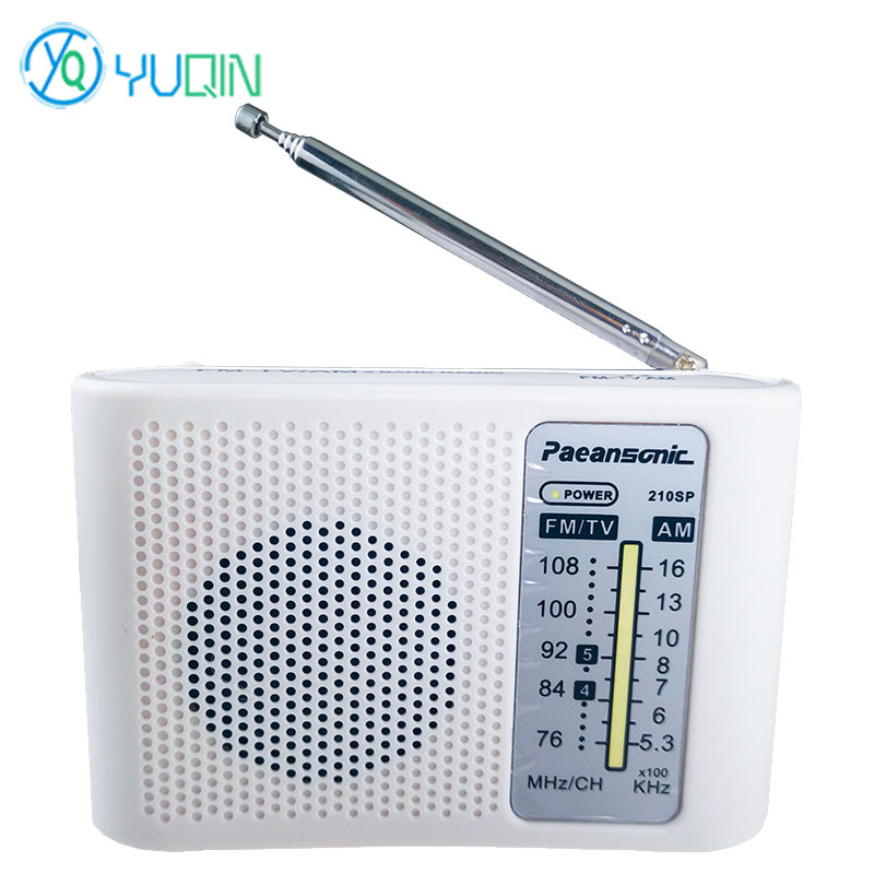 210SP AM/FM Radio-Bausatz DIY  – Diy Electronics Projects For Beginners Bewertung und Preis
